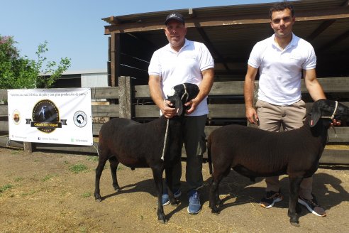 Visita a Cabaña Ovina San Miguel - Sauce Pinto, Entre Ríos