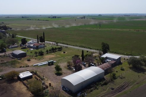 Visita a Cabaña Ovina San Miguel - Sauce Pinto, Entre Ríos