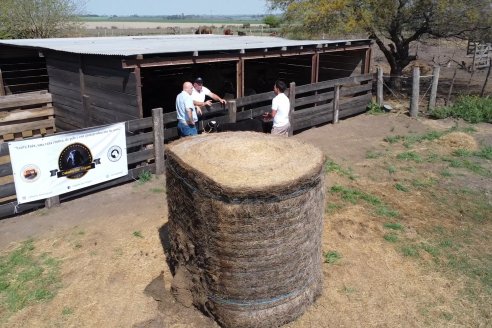 Visita a Cabaña Ovina San Miguel - Sauce Pinto, Entre Ríos