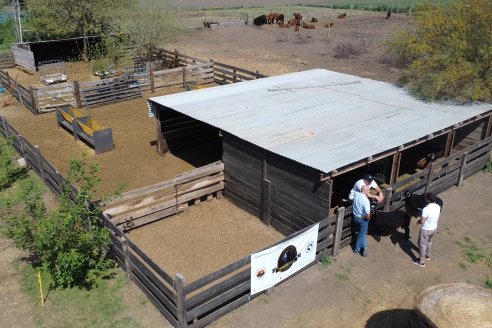 Visita a Cabaña Ovina San Miguel - Sauce Pinto, Entre Ríos