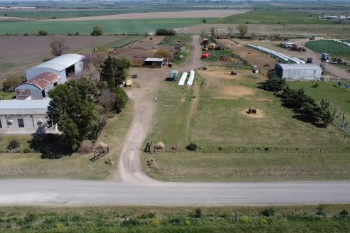 Visita a Cabaña Ovina San Miguel - Sauce Pinto, Entre Ríos