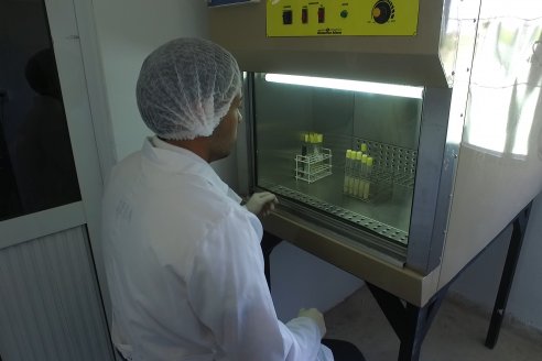 Visita a Laboratorio IBIA (Industria de Biotecnología Aplicada) - El Palenque , Entre Ríos