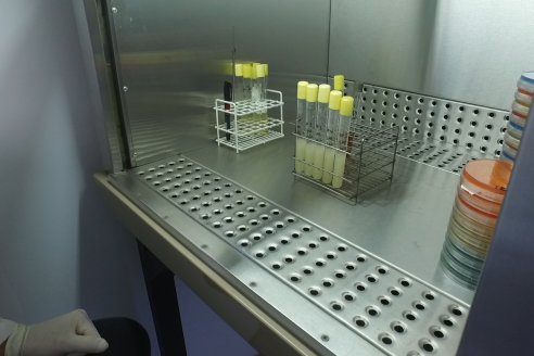 Visita a Laboratorio IBIA (Industria de Biotecnología Aplicada) - El Palenque , Entre Ríos