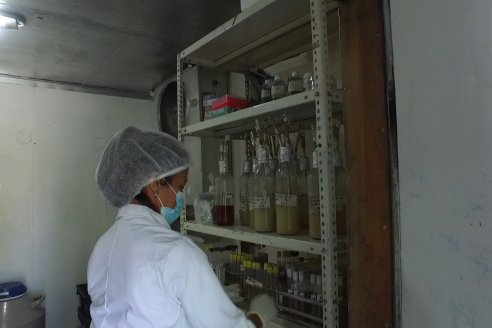 Visita a Laboratorio IBIA (Industria de Biotecnología Aplicada) - El Palenque , Entre Ríos