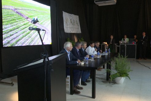 1° Lanzamiento de la Campaña Arrocera 2024-25 en Entre Ríos y Presentación del Sello ce Calidad ARROZ ENTRERRIANO