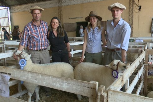 En noviembre llega la Muestra Nacional Texel de la Argentina