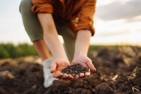 Bayer y fyoFoods se unen para promover la producción sustentable de cultivos de especialidades