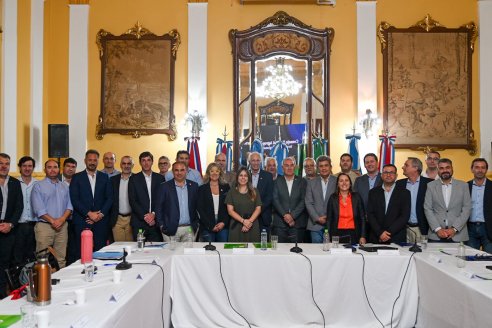 La trazabilidad electrónica individual en bovinos entró a la agenda de las provincias productoras de carne