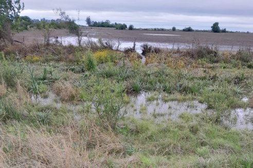 Las lluvias motivan y liberan energías positivas sobre el suelo