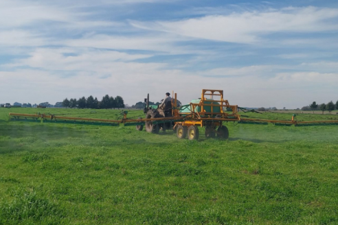 Expertos ensayan con biopreparados para fertilizar mejor las pasturas