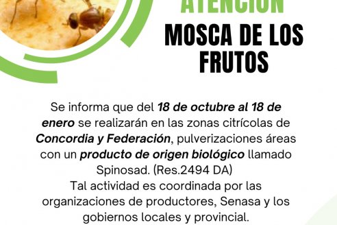 Plan de control de Moscas de los Frutos en quintas citrícolas