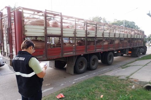 Frutas, huevos y animales en pie, fueron decomisados