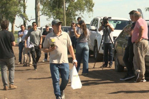 NEO CAMPO de Trigo de Neogen Semillas - Centro de Experiencias en Sexto Distrito, Gualeguay