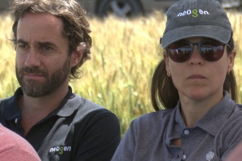 NEO CAMPO de Trigo de Neogen Semillas - Centro de Experiencias en Sexto Distrito, Gualeguay