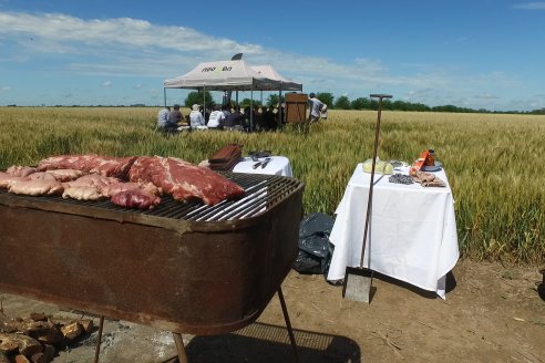 NEO CAMPO de Trigo de Neogen Semillas - Centro de Experiencias en Sexto Distrito, Gualeguay