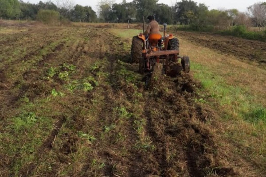 Celebran el mes de la agroecología