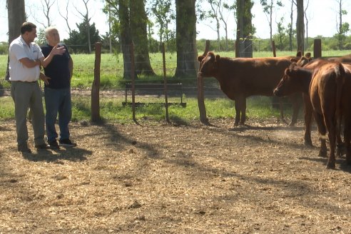 Tour Productivo AEPA en el Departamento Villaguay - Visita a Establ. Fortin Esperanza en Raices Oeste