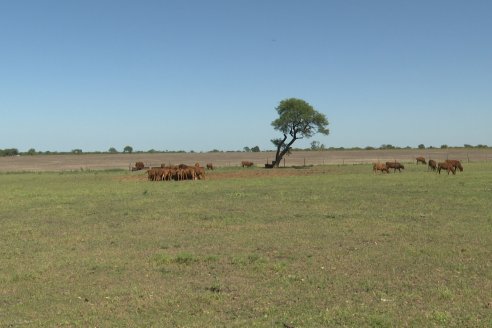 Tour Productivo AEPA en el Departamento Villaguay - Visita a Establ. Fortin Esperanza en Raices Oeste