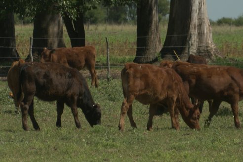 Tour Productivo AEPA en el Departamento Villaguay - Visita a Establ. Fortin Esperanza en Raices Oeste