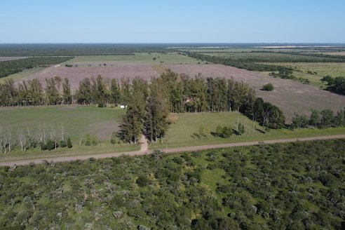 Tour Productivo AEPA en el Departamento Villaguay - Visita a Establ. Fortin Esperanza en Raices Oeste