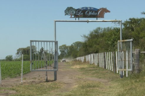 Tour Productivo AEPA en el Departamento Villaguay - Visita a Campo La Ofelia en Raices Este