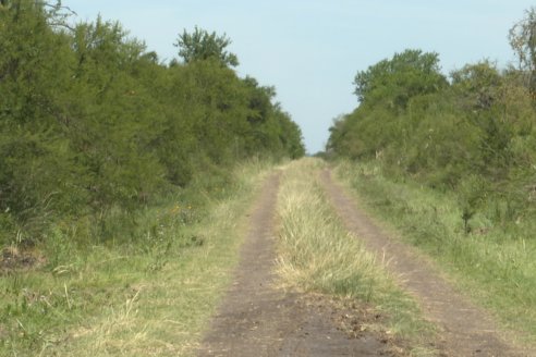 Tour Productivo AEPA en el Departamento Villaguay - Visita a Campo La Ofelia en Raices Este