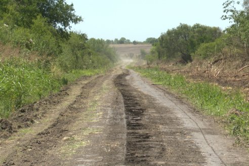 Tour Productivo AEPA en el Departamento Villaguay - Visita a Campo La Ofelia en Raices Este