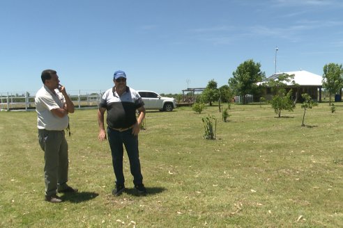 Tour Productivo AEPA en el Departamento Villaguay - Visita a Campo La Ofelia en Raices Este