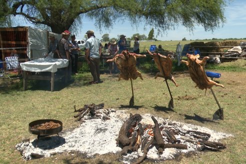 Tour Productivo AEPA en el Departamento Villaguay - Visita a Campo La Ofelia en Raices Este