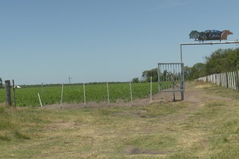 Tour Productivo AEPA en el Departamento Villaguay - Visita a Campo La Ofelia en Raices Este