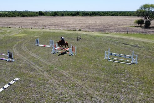 Tour Productivo AEPA en el Departamento Villaguay - Visita a Campo La Ofelia en Raices Este