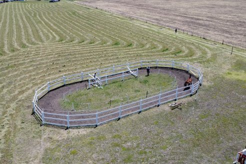 Tour Productivo AEPA en el Departamento Villaguay - Visita a Campo La Ofelia en Raices Este