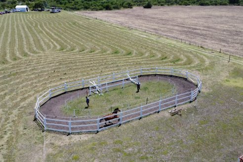 Tour Productivo AEPA en el Departamento Villaguay - Visita a Campo La Ofelia en Raices Este