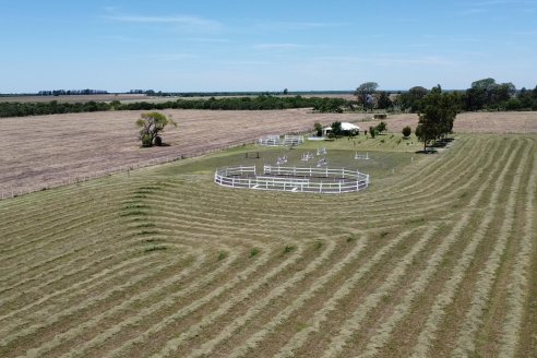 Tour Productivo AEPA en el Departamento Villaguay - Visita a Campo La Ofelia en Raices Este