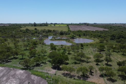 Tour Productivo AEPA en el Departamento Villaguay - Visita a Campo La Ofelia en Raices Este