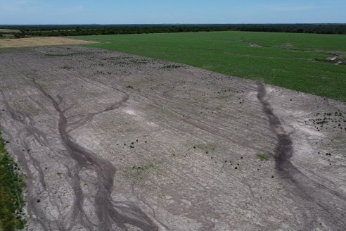 Tour Productivo AEPA en el Departamento Villaguay - Visita a Campo La Ofelia en Raices Este