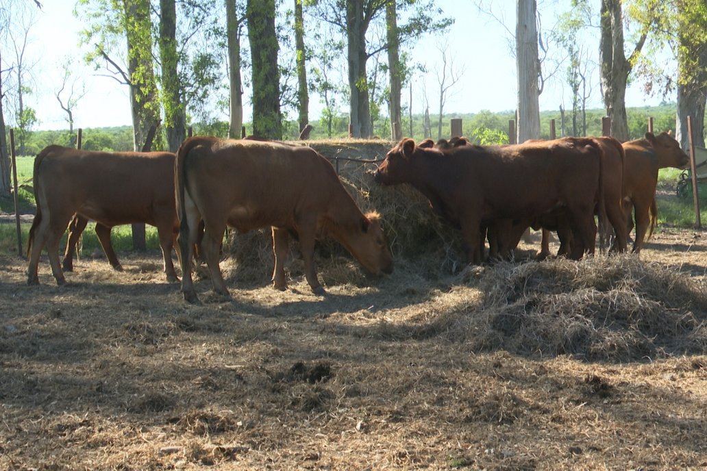 Tour Productivo AEPA en el Departamento Villaguay - Visita a Establ. Fortin Esperanza en Raices Oeste