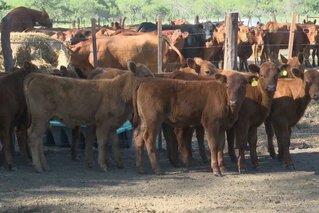 Tour Productivo AEPA en el Departamento Villaguay - Visita a Establ. Fortin Esperanza en Raices Oeste