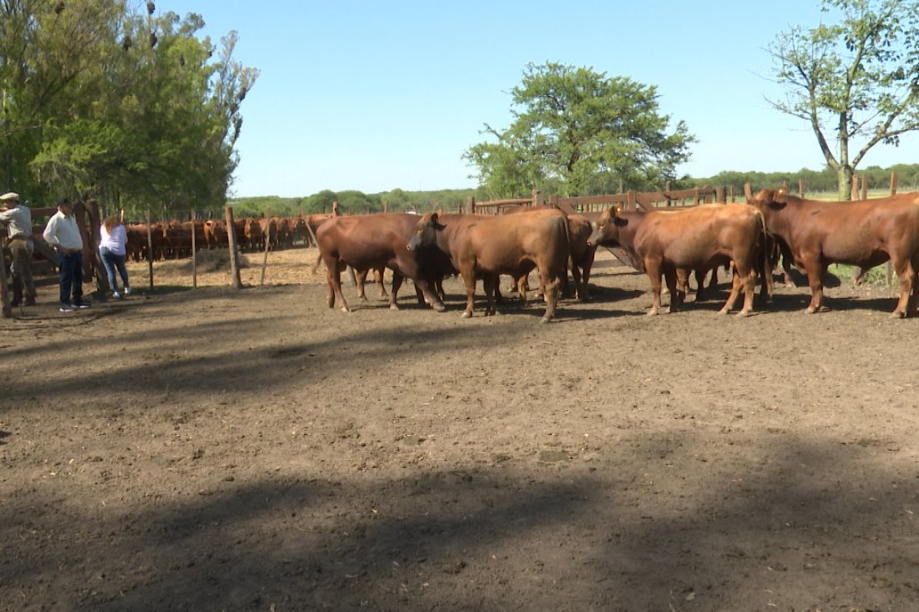 Tour Productivo AEPA en el Departamento Villaguay - Visita a Establ. Fortin Esperanza en Raices Oeste