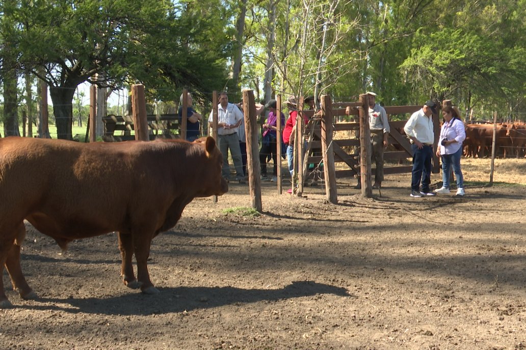 Tour Productivo AEPA en el Departamento Villaguay - Visita a Establ. Fortin Esperanza en Raices Oeste