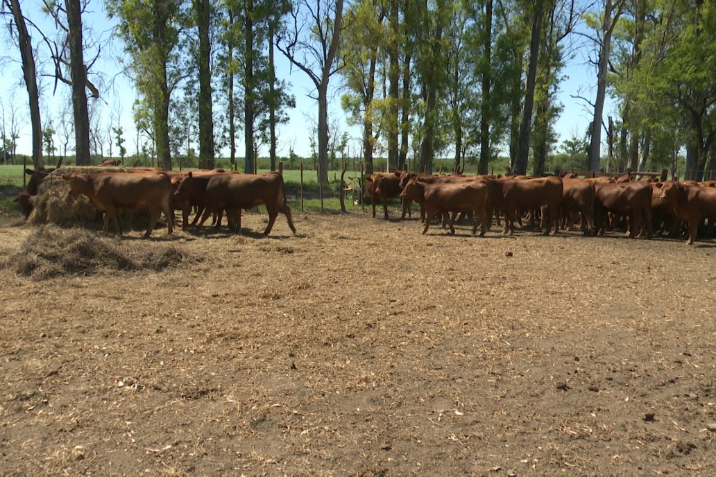 Tour Productivo AEPA en el Departamento Villaguay - Visita a Establ. Fortin Esperanza en Raices Oeste