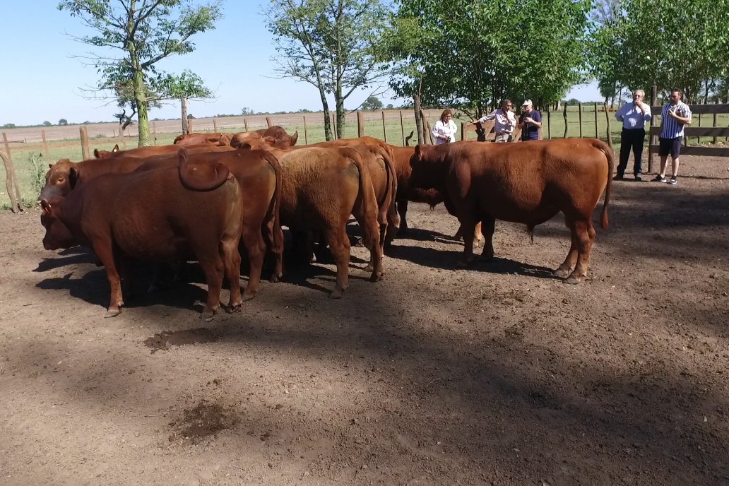 Tour Productivo AEPA en el Departamento Villaguay - Visita a Establ. Fortin Esperanza en Raices Oeste