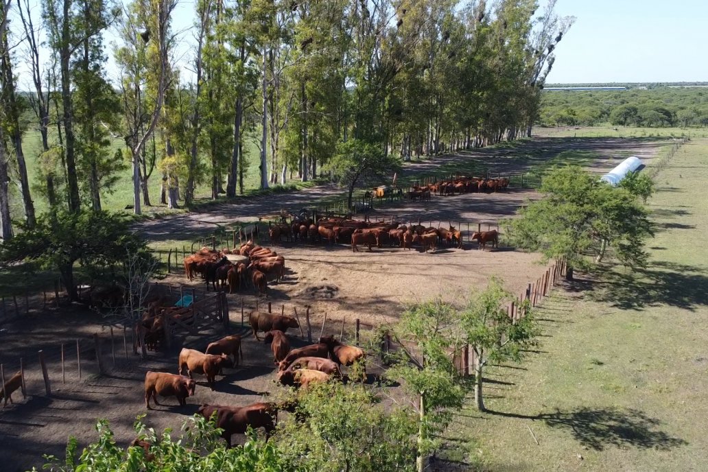 Tour Productivo AEPA en el Departamento Villaguay - Visita a Establ. Fortin Esperanza en Raices Oeste