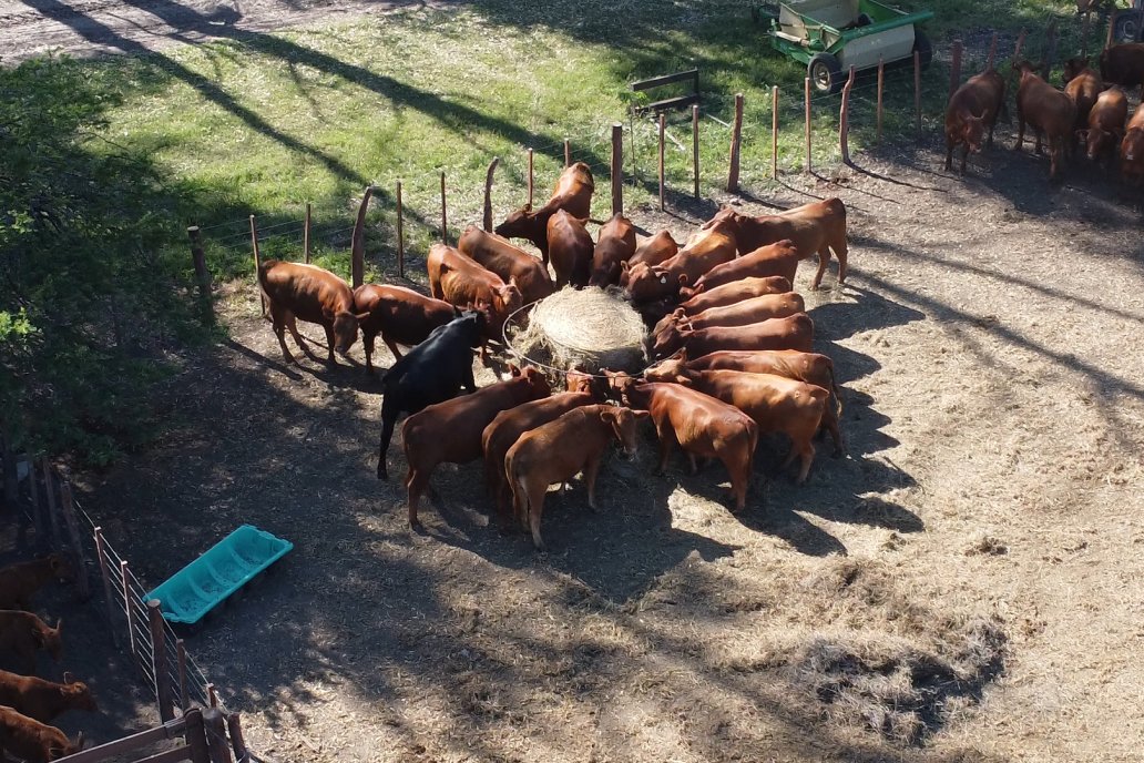 Tour Productivo AEPA en el Departamento Villaguay - Visita a Establ. Fortin Esperanza en Raices Oeste