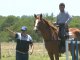 En La Ofelia, los caballos de salto conjugan deporte y producción