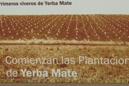 Visita a Coop.Agric. de Colonia Liebig, Corrientes -  Yerba Mate Playadito