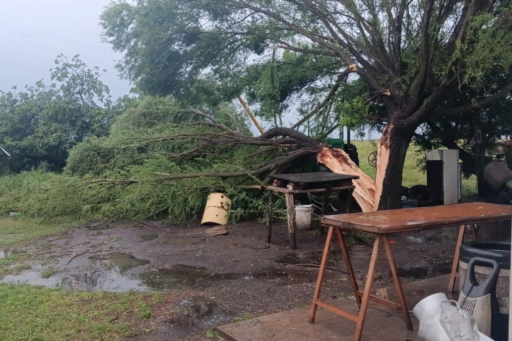 Por Tabossi cayeron apenas 40 milímetros, pero el viento tumbó ramas.