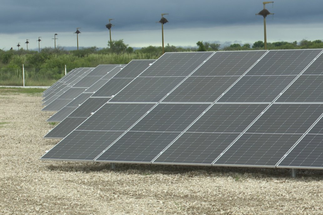 Grupo Motta puso en marcha el parque solar en complejo avícola de Conscripto Bernardi