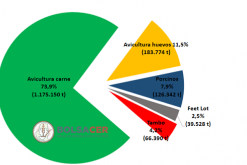 Avicultores consumen casi toda la soja producida en Entre Ríos