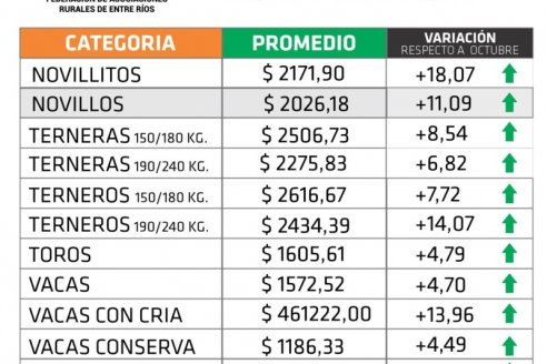 Novillitos lideran con el 18,7% las subas de la hacienda en pie